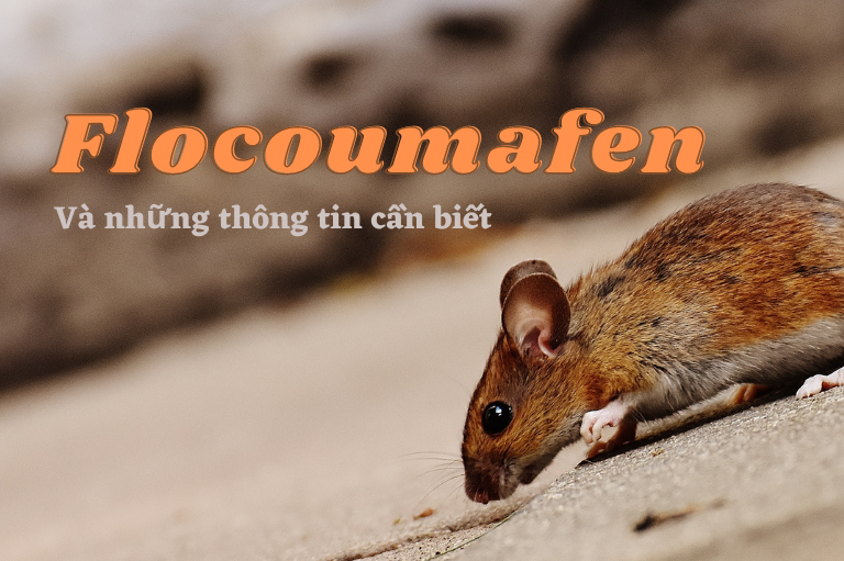 Flocoumafen và những thông tin cần biết